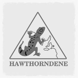 Hawthorndene Primary School